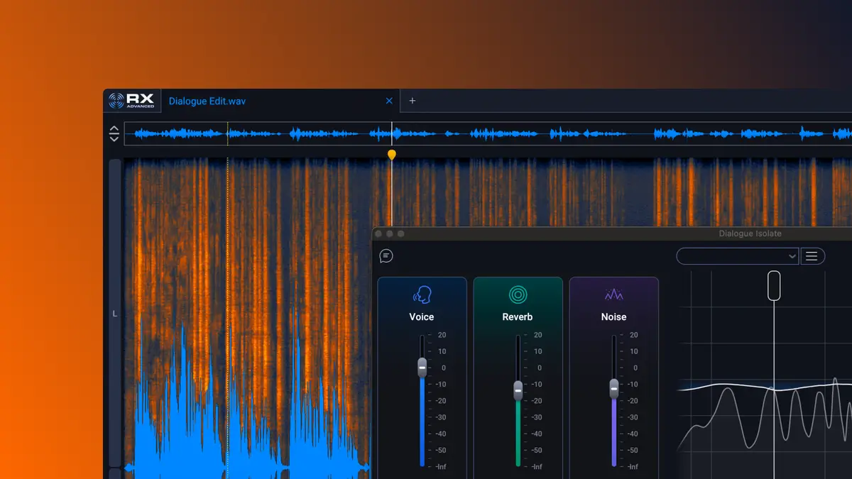 RX 12 Standard by iZotope